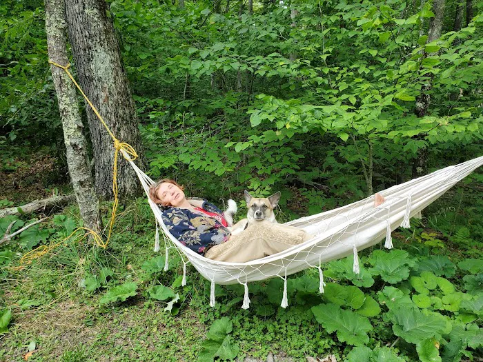 Spruce Knob Lake Campground Picture 9