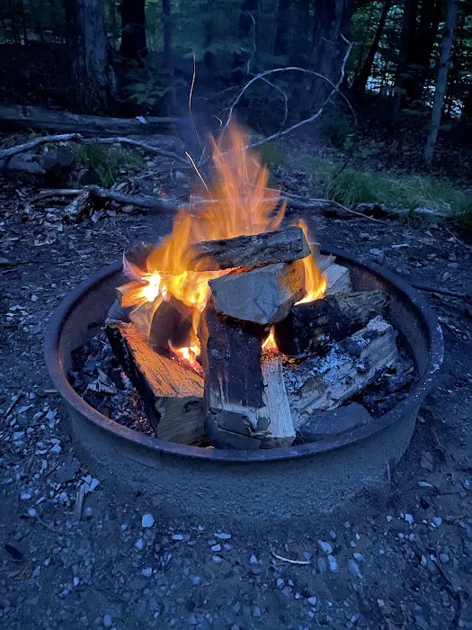 Spruce Knob Lake Campground Picture 6