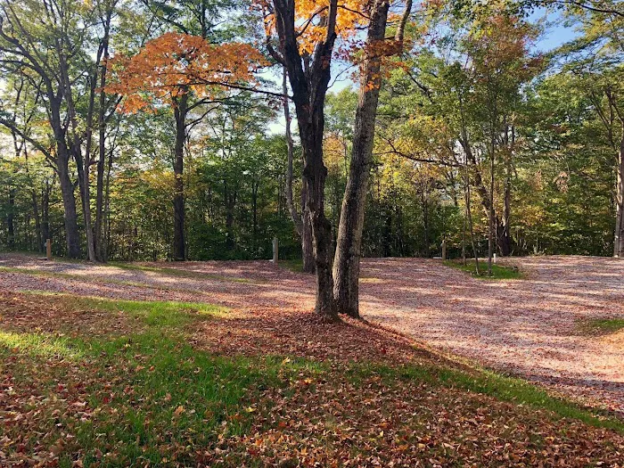 Back Ridge Shadows, LLC Picture 3