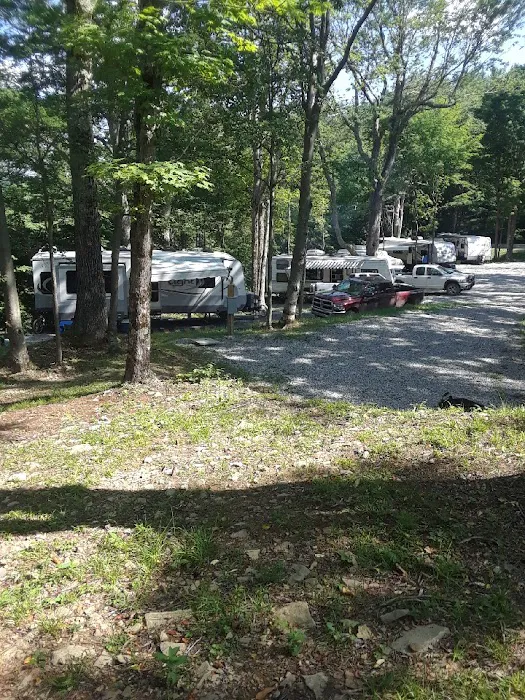 Back Ridge Shadows, LLC Picture 2