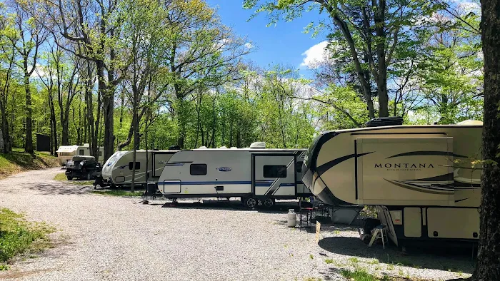 Back Ridge Shadows, LLC Picture 6