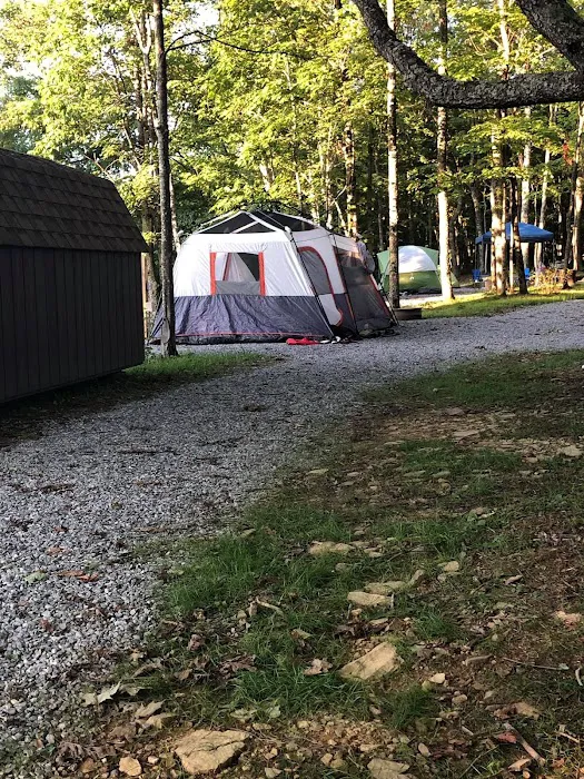 Back Ridge Shadows, LLC Picture 1