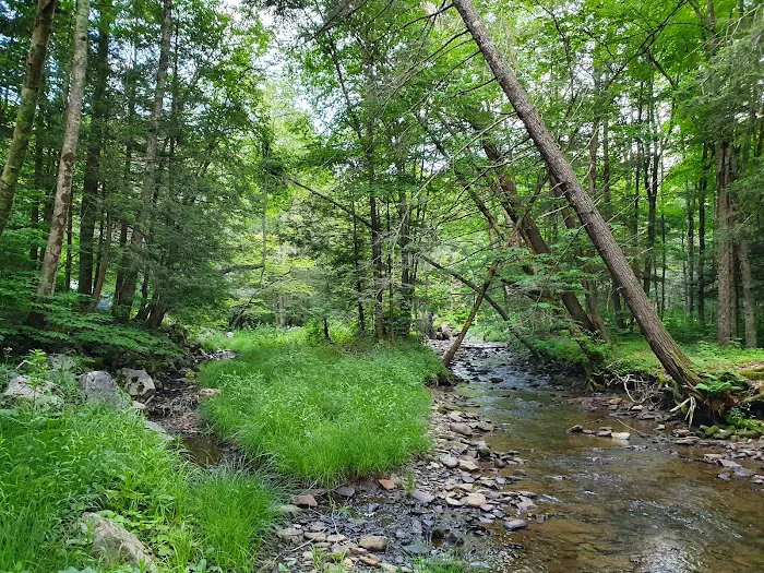 Island Campground Picture 2