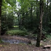 Island Campground ico