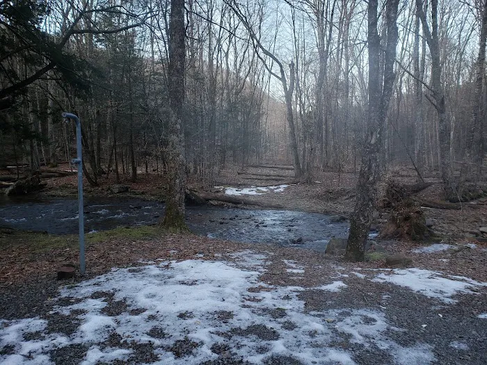 Island Campground Picture 5