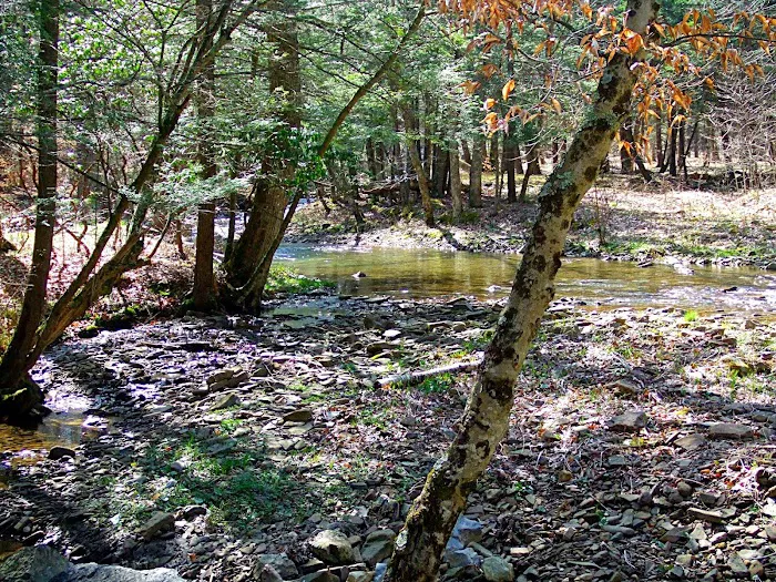 Island Campground Picture 7