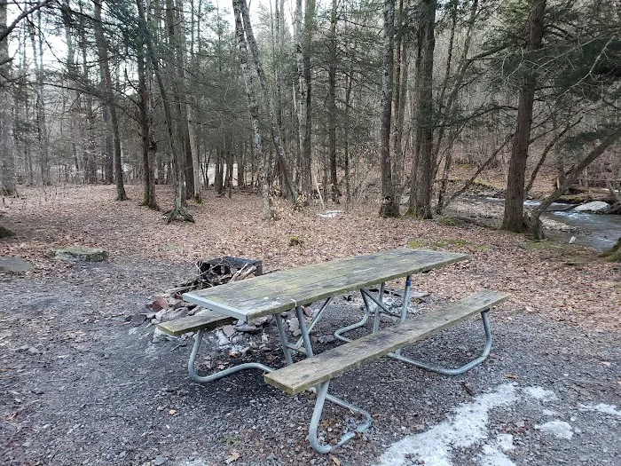 Island Campground Picture 4