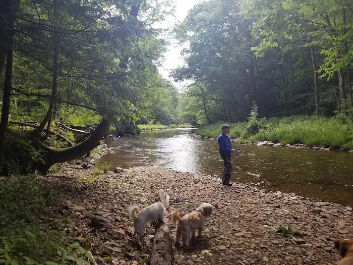 Island Campground Picture 6