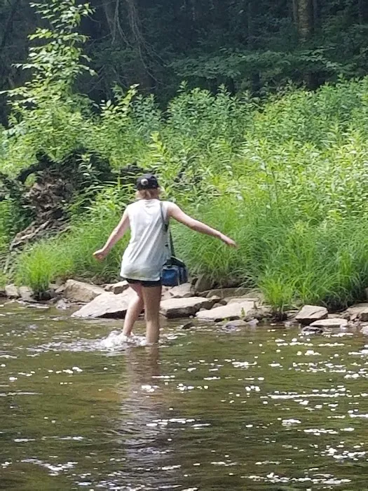 Island Campground Picture 3