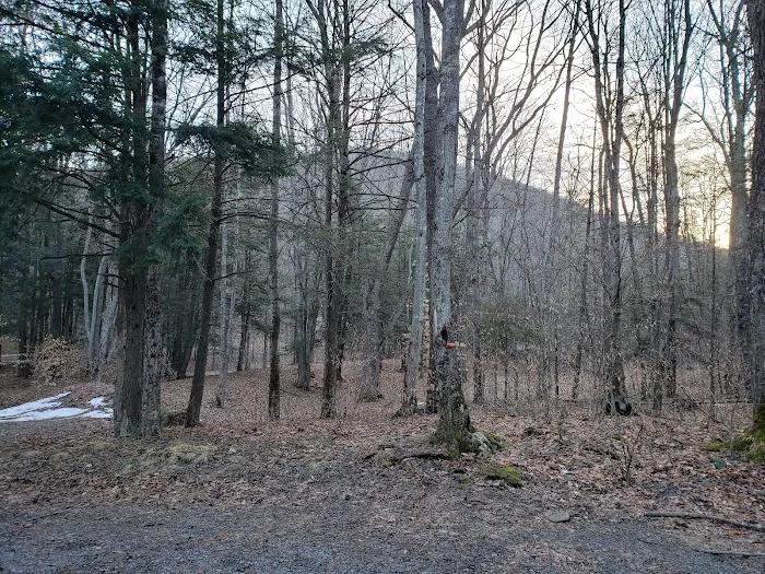 Island Campground Picture 8