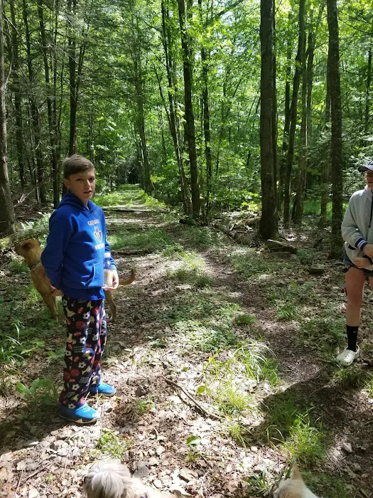 Island Campground Picture 9