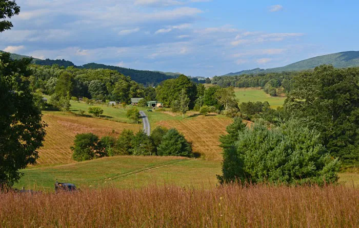 Monterey Campground Picture 2