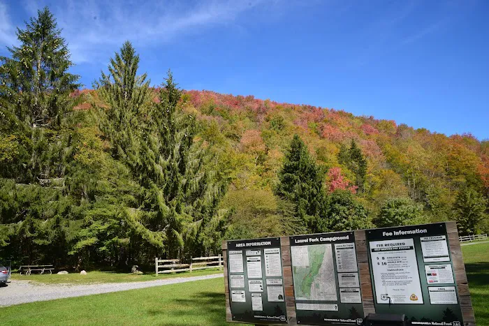 Laurel Fork Campground Picture 2