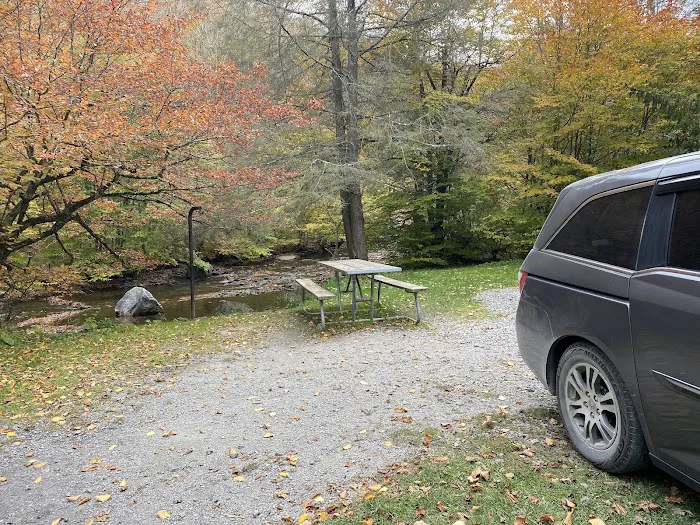 Laurel Fork Campground Picture 1