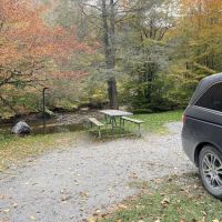 Laurel Fork Campground ico