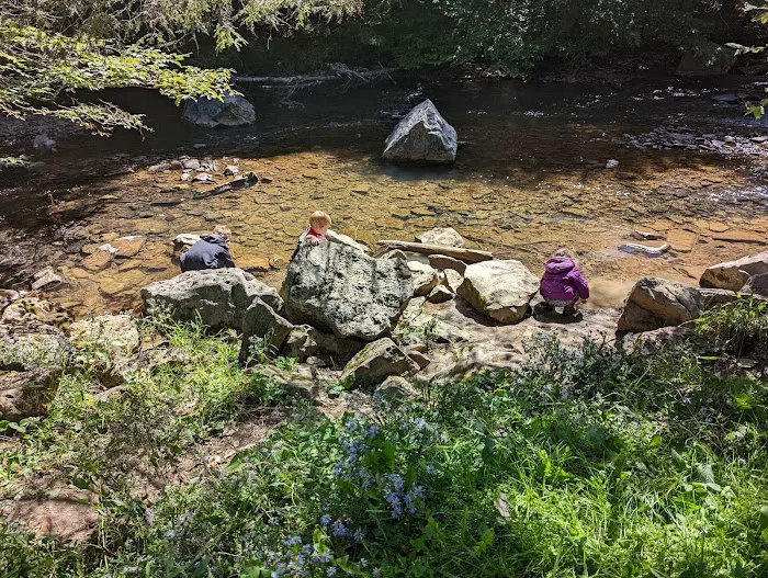 Laurel Fork Campground Picture 7