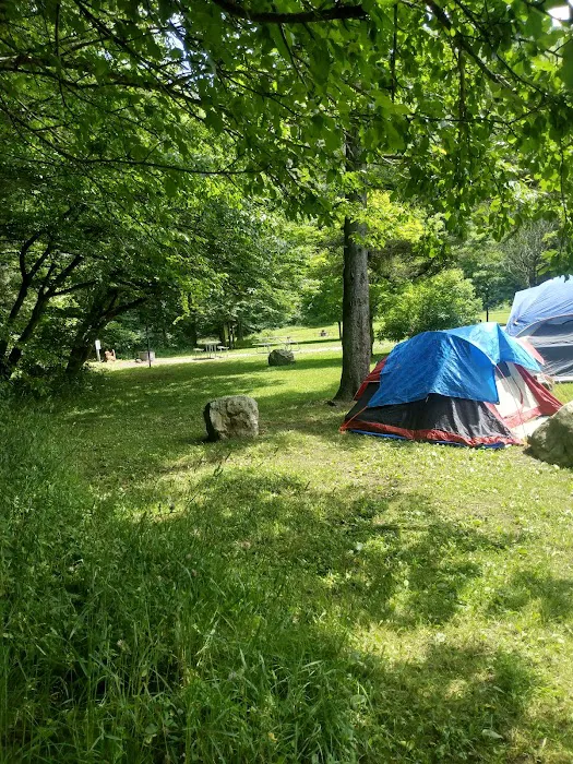 Laurel Fork Campground Picture 6