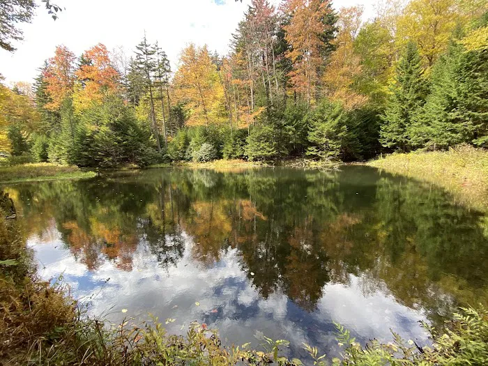 Middle Mountain Cabins Picture 6