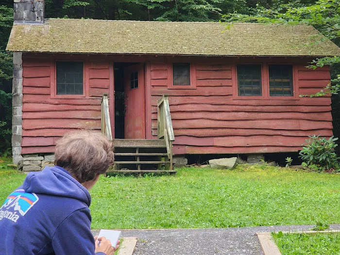 Middle Mountain Cabins Picture 8