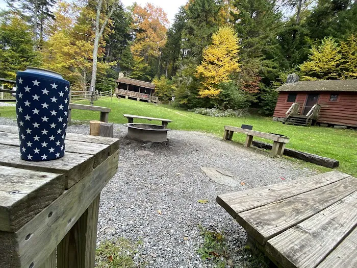 Middle Mountain Cabins Picture 5