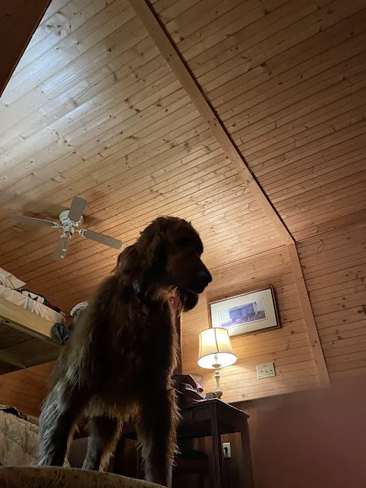 Tara’s Pond Picture 2