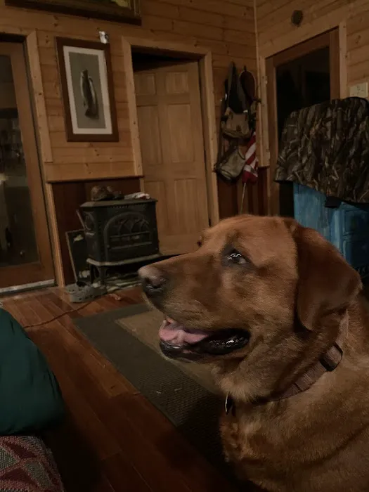 Tara’s Pond Picture 1