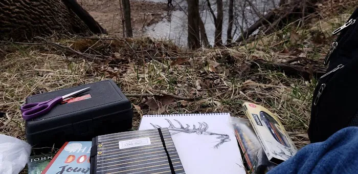 Shavers Fork Campground Picture 5