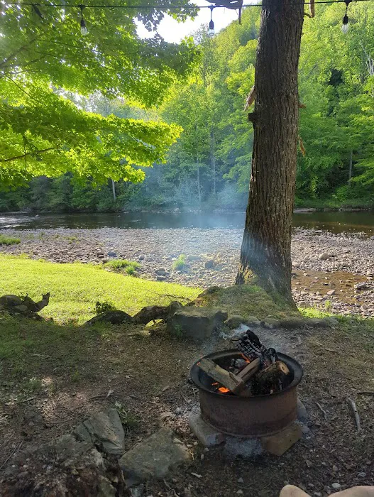 Shavers Fork Campground Picture 8