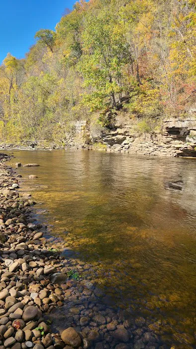 Shavers Fork Campground Picture 3