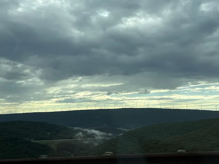 Shavers Fork Campground Picture 10