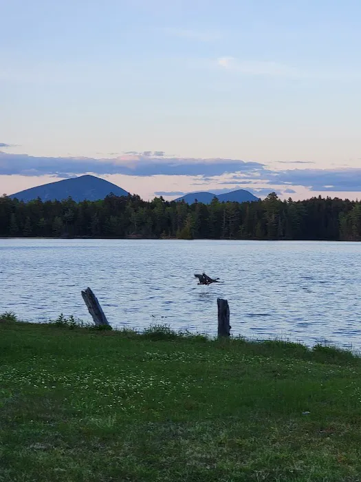 Cowan West Campground Picture 2