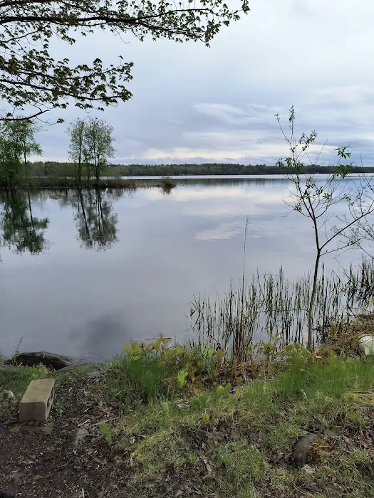 Moosehead Trail Campground Picture 5