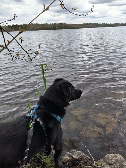 Moosehead Trail Campground Picture 4