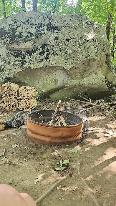 Bigrock Centerpond Park Picture 6