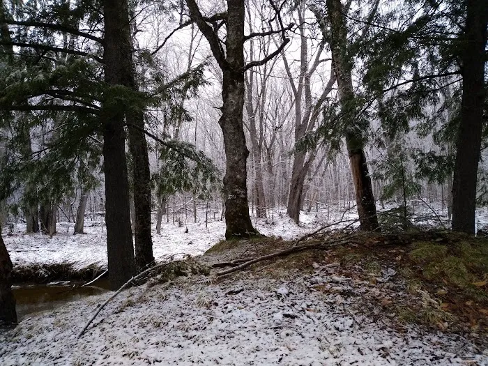 West Branch Pleasant River Campsite #6 Picture 10