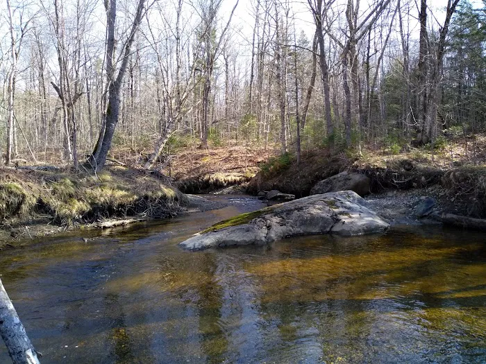 West Branch Pleasant River Campsite #6 Picture 8