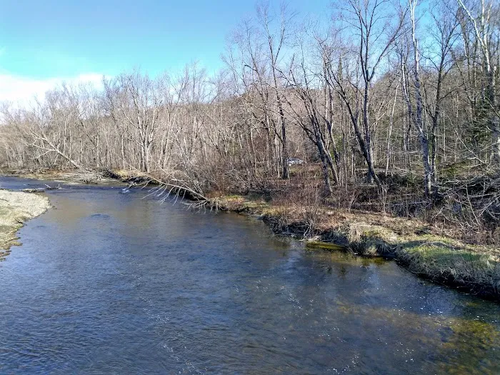 West Branch Pleasant River Campsite #6 Picture 6