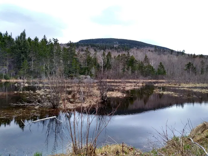 West Branch Pleasant River Campsite #6 Picture 3
