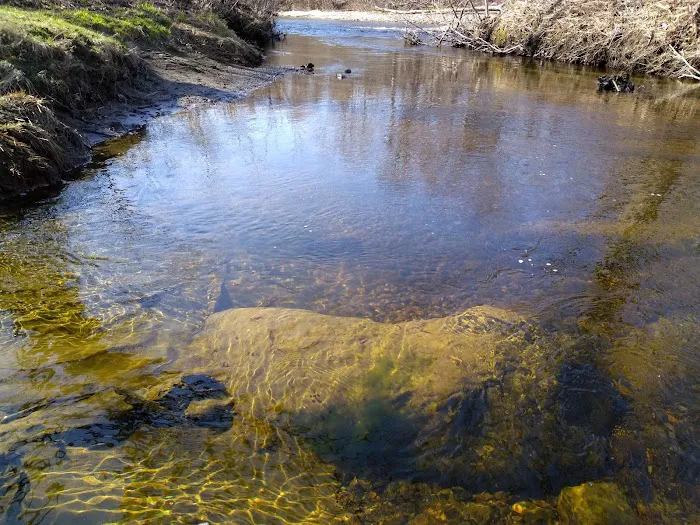 West Branch Pleasant River Campsite #6 Picture 4