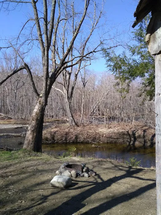 West Branch Pleasant River Campsite #6 Picture 7