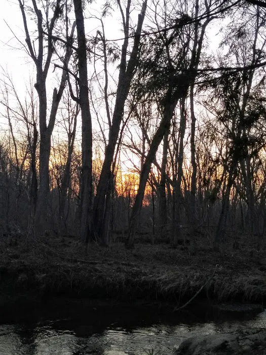 West Branch Pleasant River Campsite #6 Picture 5
