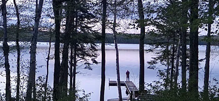 Lucky Lakefront Cabin Picture 5