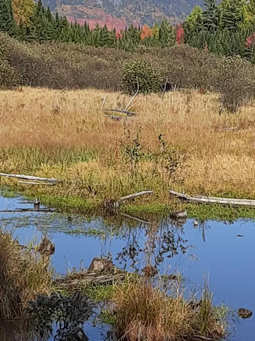 Spencer Bay CG Picture 7