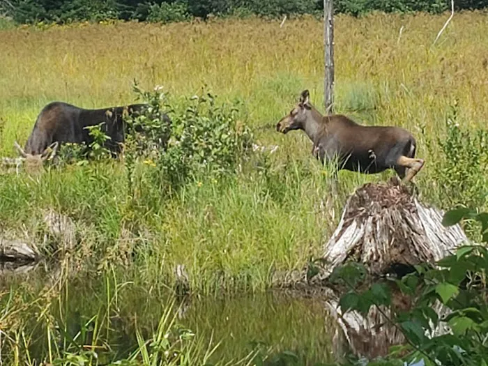 Spencer Bay CG Picture 6