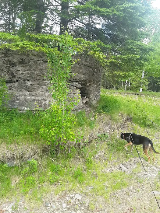 Moose River Campground Picture 10