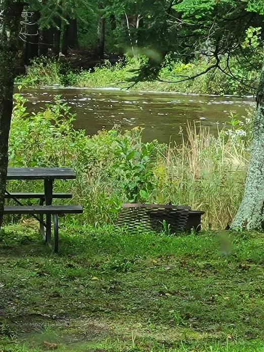 Moose River Campground Picture 3