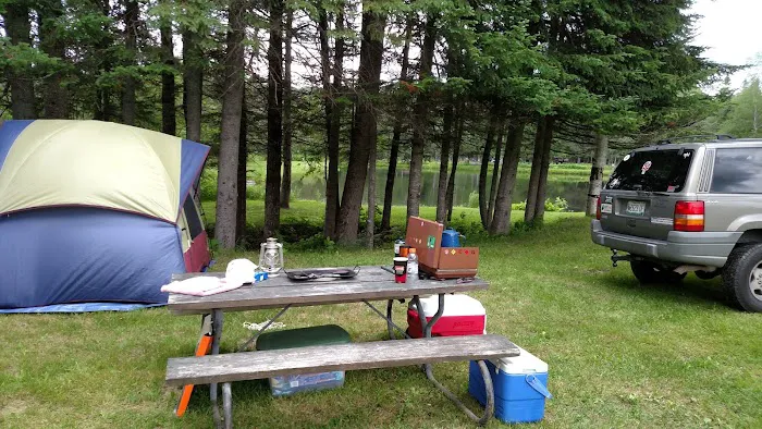 Moose River Campground Picture 6