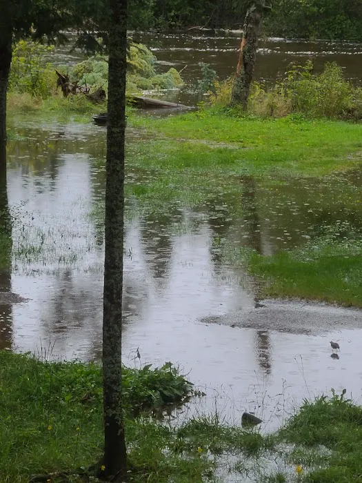 Moose River Campground Picture 2