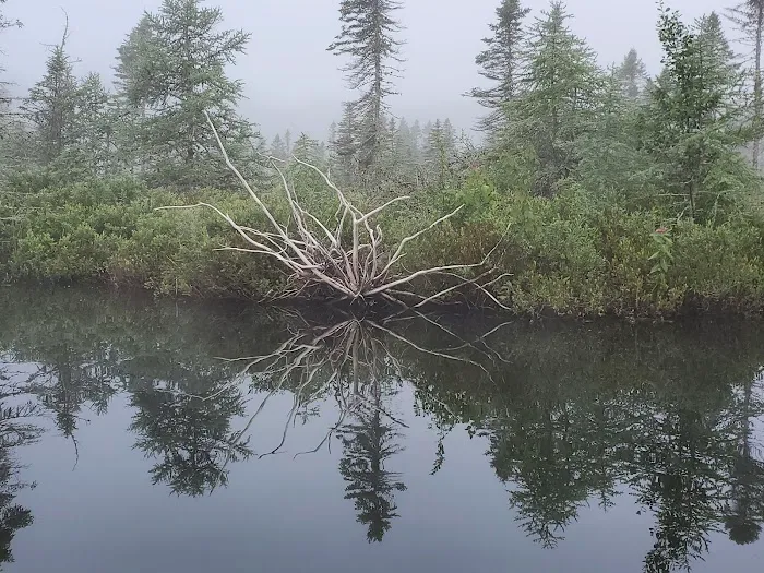 Stetson Shores Campground Picture 3