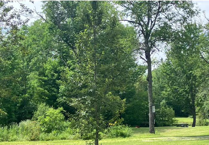 Mystic Valley Campground Picture 8